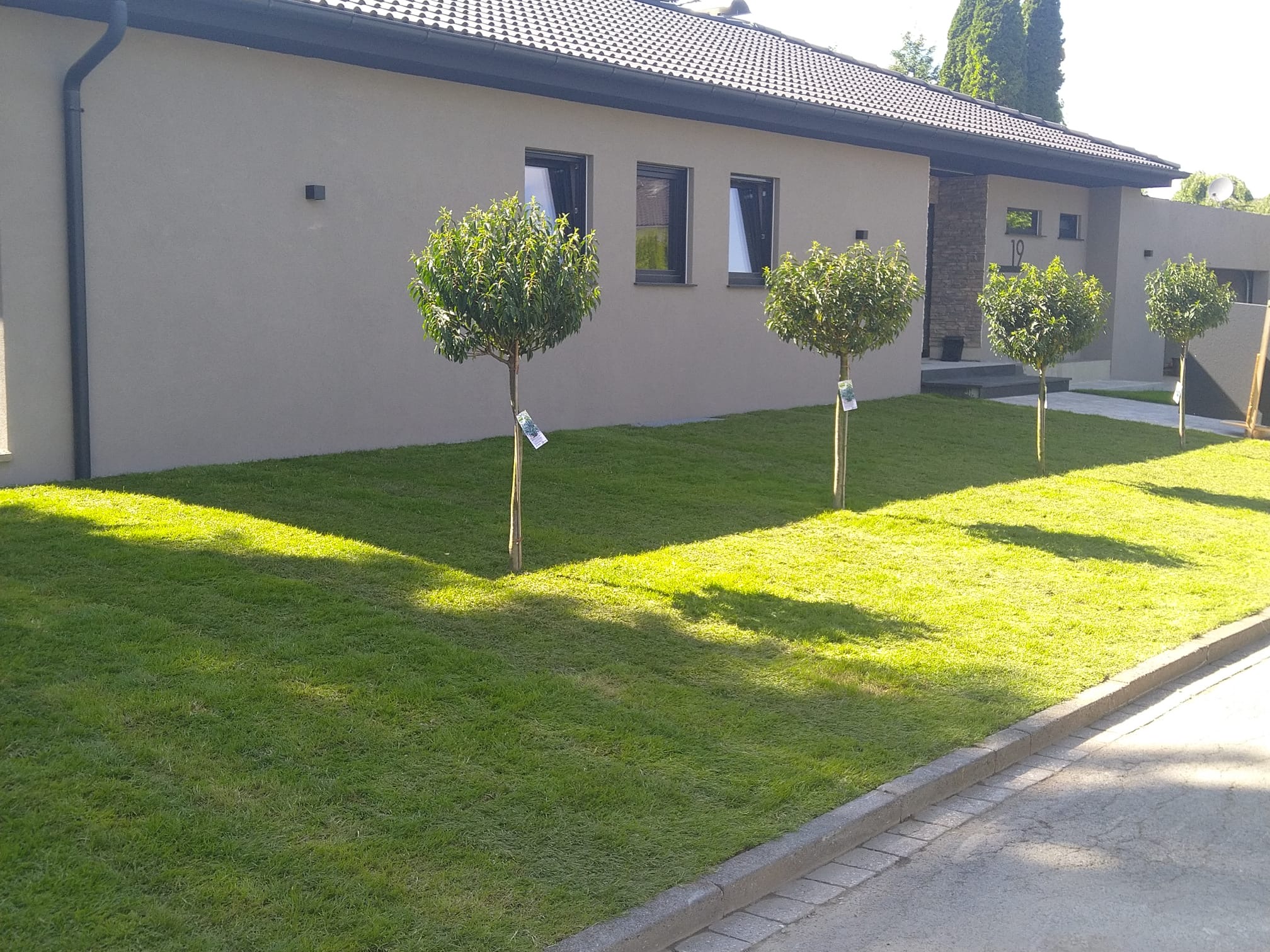 Gartenpflege